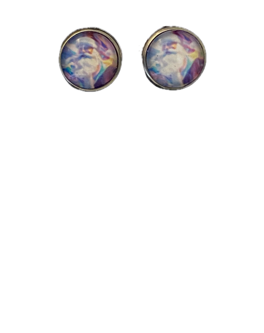 Santa Colorful Stainless Steel Earrings